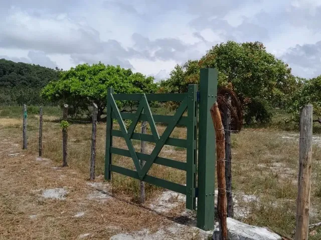 Imagem 1: Vendo Lotes no Povoado Flexeiras em Santo Amaro das Brotas