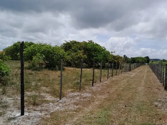 Imagem 7: Vendo Lotes no Povoado Flexeiras em Santo Amaro das Brotas
