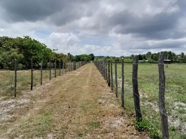 Imagem 8: Vendo Lotes no Povoado Flexeiras em Santo Amaro das Brotas