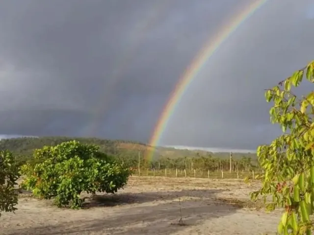 Imagem 5: Vendo Lotes no Povoado Flexeiras em Santo Amaro das Brotas