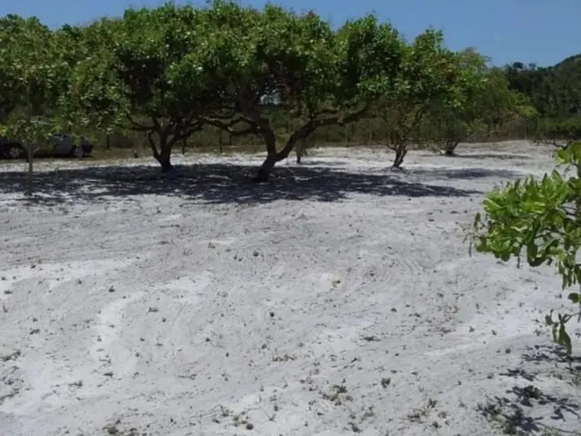 Imagem 6: Vendo Lotes no Povoado Flexeiras em Santo Amaro das Brotas