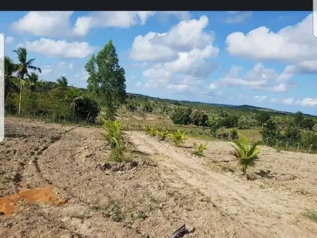 Imagem: Terreno para Chácara em Santo Amaro