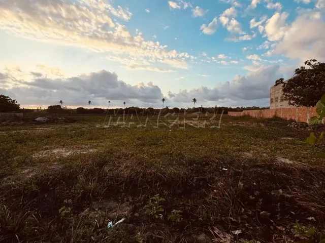 Imagem 9: Terreno 7.500M² - Gameleira - Aracaju - Se