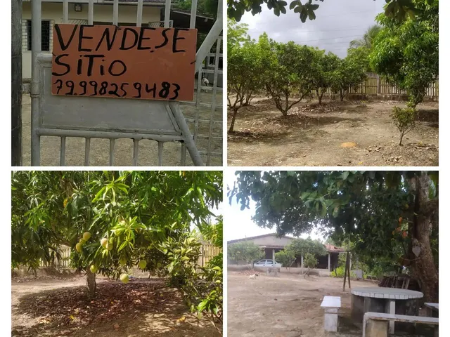Imagem: Sitio