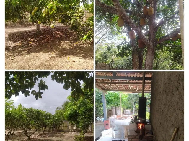 Imagem 2: Sitio Chácara com venda por R$180.000