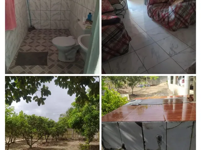Imagem 4: Sitio Chácara com venda por R$180.000