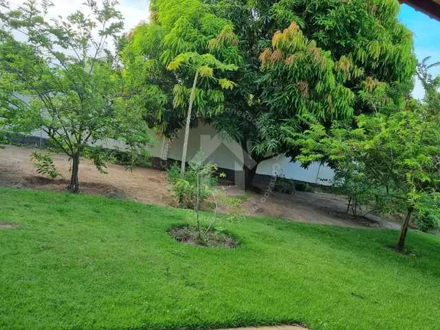 Imagem 10: Chácara À Venda no Povoado Areia Branca