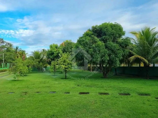Imagem 7: Chácara À Venda no Povoado Areia Branca