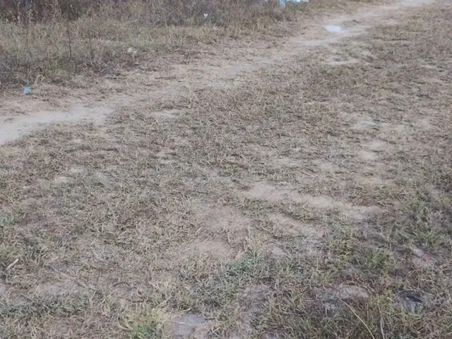Imagem 4: Vende-Se Terreno em Simão Dias, Próx da Rodovia, Rua Pavimentada. o...
