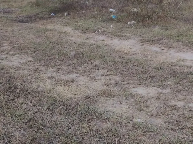 Imagem 2: Vende-Se Terreno em Simão Dias, Próx da Rodovia, Rua Pavimentada. o...