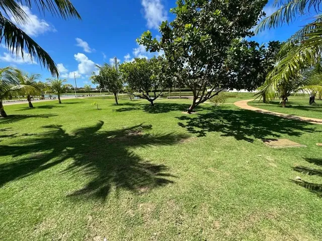 Imagem 10: Reserva Aimoré, Mosqueiro, Vizinho Ao Morada do Rio