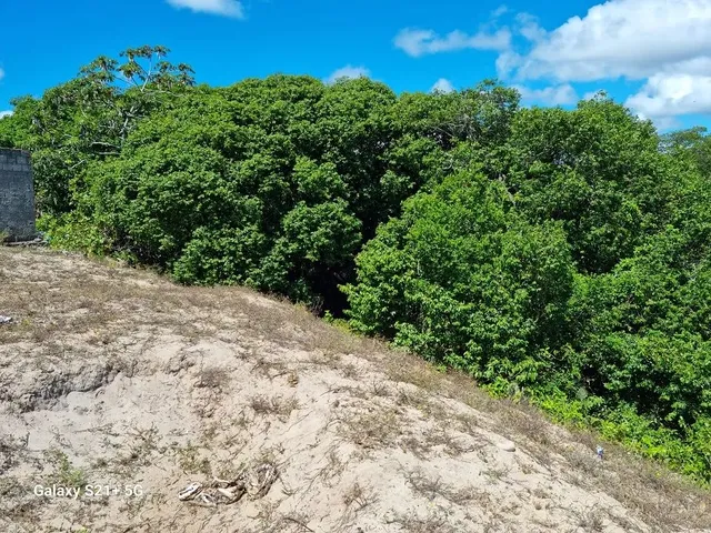 Imagem: Terreno para Venda com 957 M2 em Mosqueiro