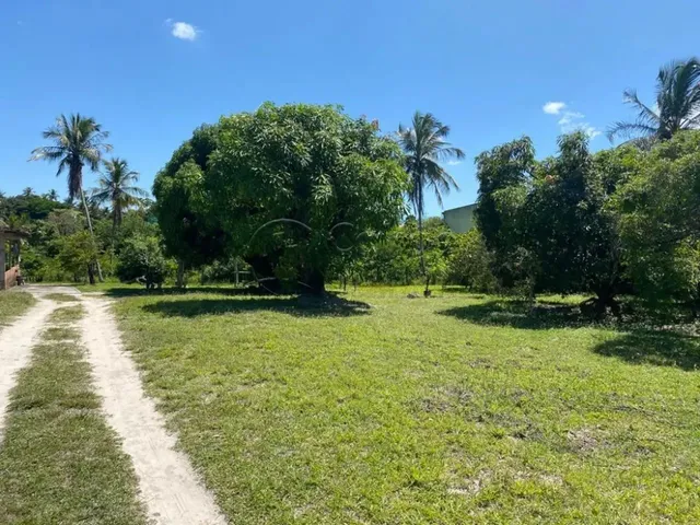Imagem: Sitio em Área Urbana no Marcos Freire III