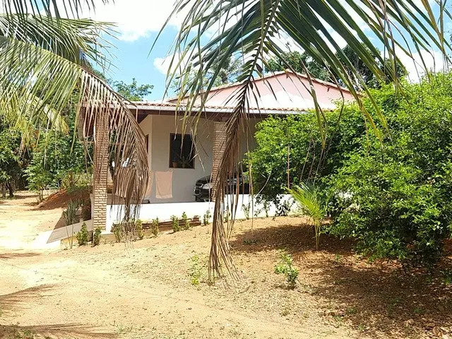 Imagem: Sítio Bela Vista em Riachão do Dantas-Se