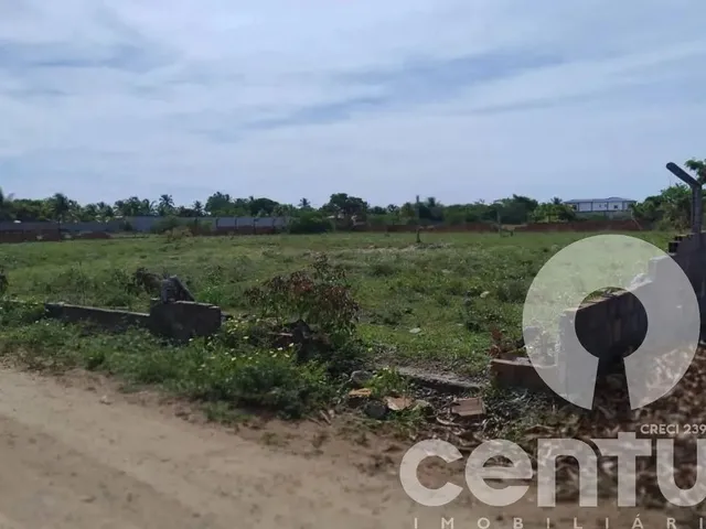 Imagem 6: Terreno no Recanto da Andorinhas