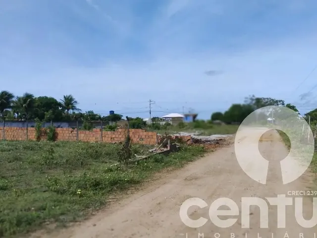 Imagem 4: Terreno no Recanto da Andorinhas