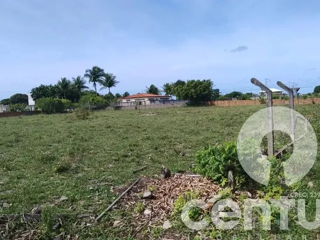 Imagem 2: Terreno no Recanto da Andorinhas