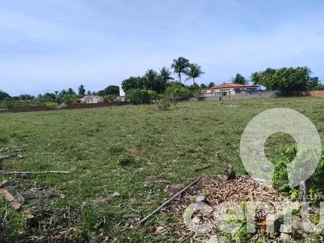 Imagem 7: Terreno no Recanto da Andorinhas
