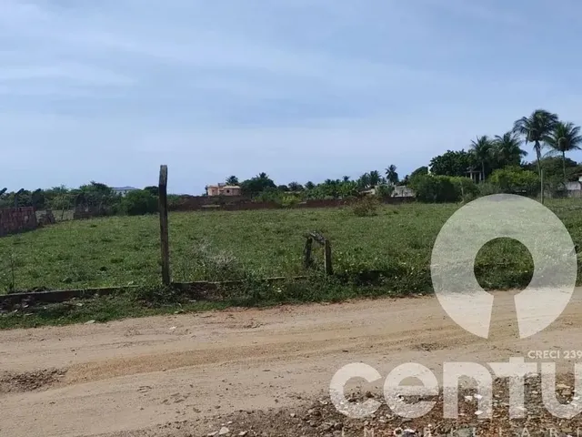 Imagem 5: Terreno no Recanto da Andorinhas