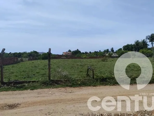 Imagem 3: Terreno no Recanto da Andorinhas