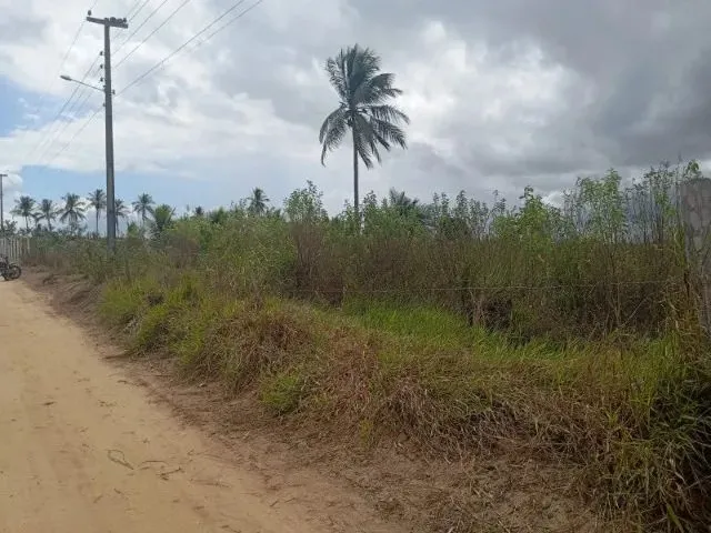 Imagem: Vendo Terreno 5 Tarefas no Colônia Treze
