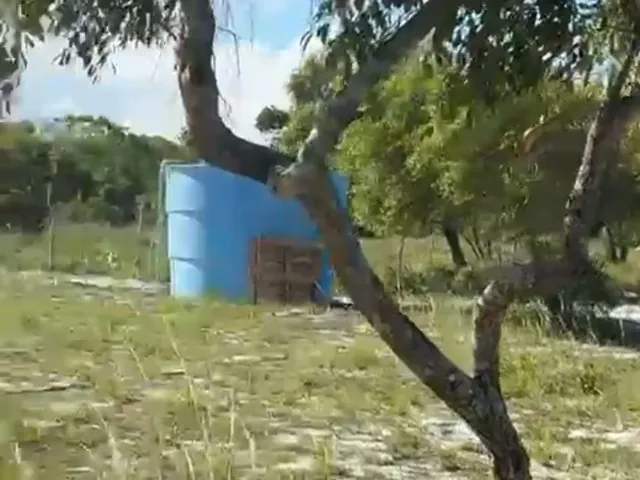 Imagem 2: Sítio Japaratuba - Chacara Interior - Terreno