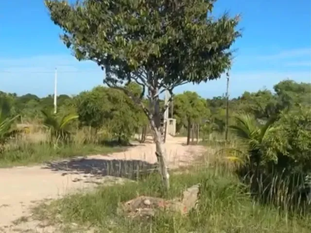 Imagem 3: Sítio Japaratuba - Chacara Interior - Terreno