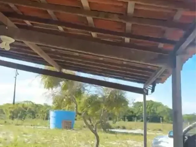 Imagem 5: Sítio Japaratuba - Chacara Interior - Terreno