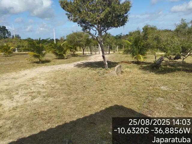 Imagem 6: Sítio Japaratuba - Chacara Interior - Terreno