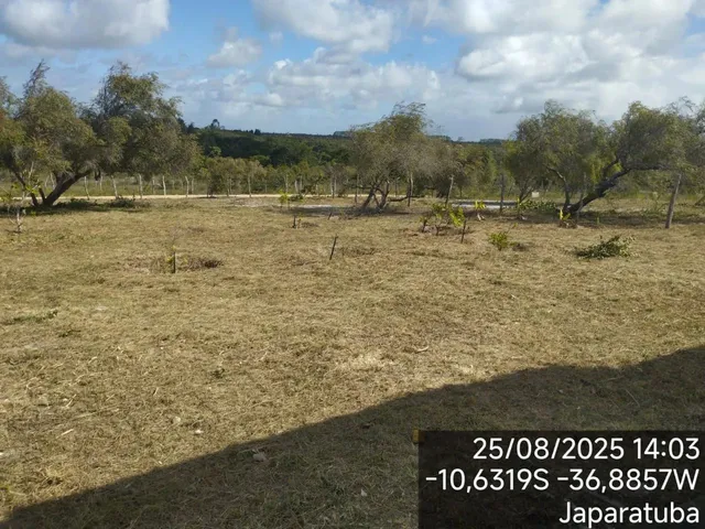 Imagem 7: Sítio Japaratuba - Chacara Interior - Terreno