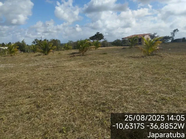 Imagem 8: Sítio Japaratuba - Chacara Interior - Terreno