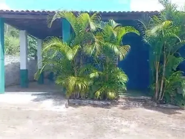 Imagem 7: Mini Sítio com 1200M² no Povoado Sete Casas, Estância -Se
