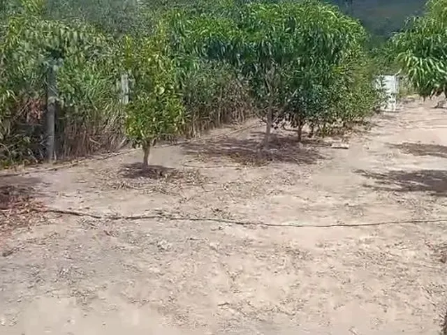 Imagem 12: Mini Sítio com 1200M² no Povoado Sete Casas, Estância -Se
