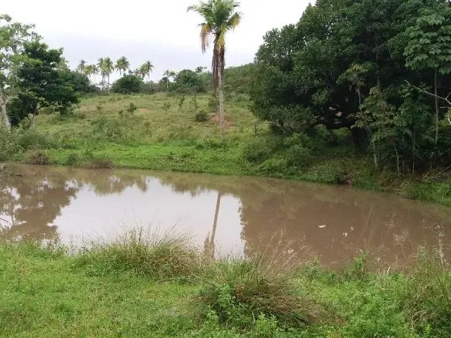 Imagem: Sítio com 29 Tarefas no Município de Itaporanga