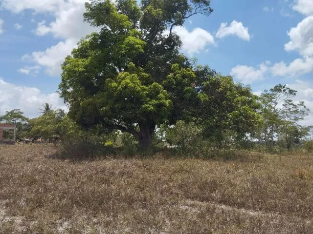 Imagem: Sitio À Venda