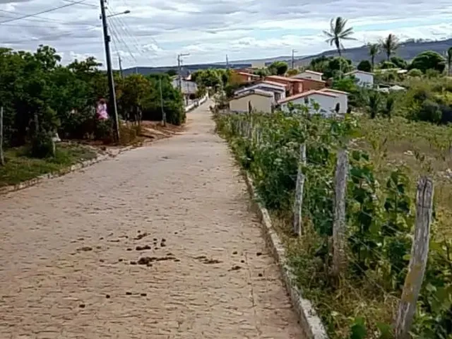 Imagem: O terreno está localizado em Simão Dias, SE à venda por
