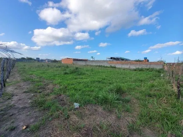 Imagem 3: Terreno 30×70 no Povoado Pirunga. Melhor Povoado do Município de Capela/Se
