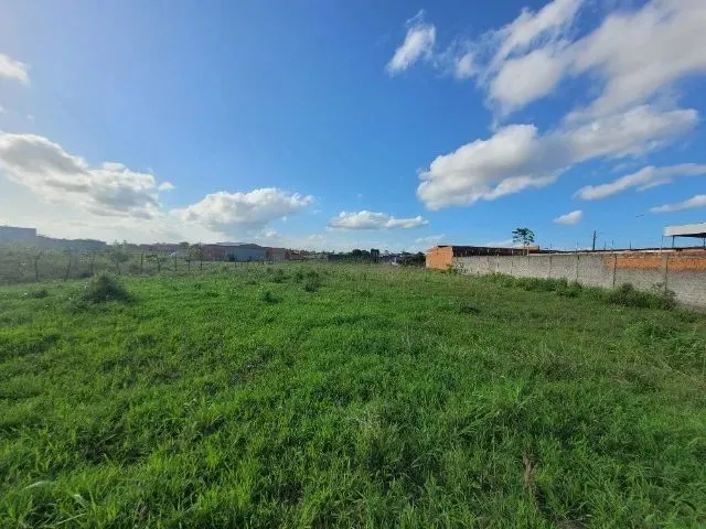 Imagem 4: Terreno 30×70 no Povoado Pirunga. Melhor Povoado do Município de Capela/Se