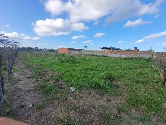 Imagem 5: Terreno 30×70 no Povoado Pirunga. Melhor Povoado do Município de Capela/Se