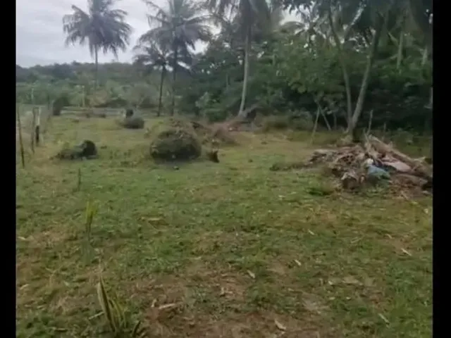Imagem: Vendo Terreno de Procedência