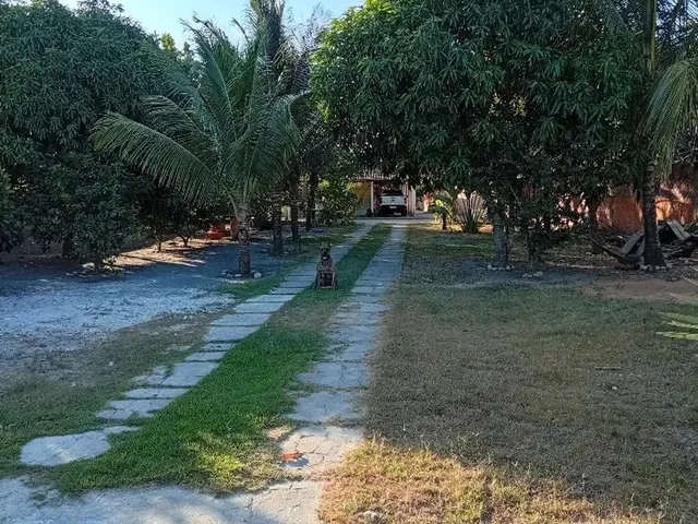 Imagem 3: Vende-Se Chácara no Povoado Pirunga /Capela
