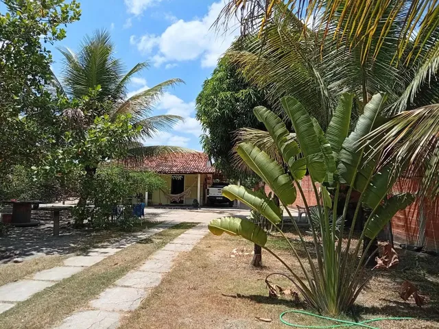 Imagem 5: Vende-Se Chácara no Povoado Pirunga /Capela