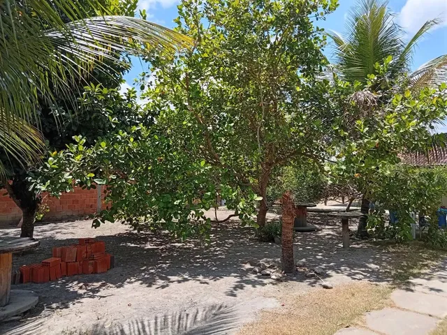 Imagem 6: Vende-Se Chácara no Povoado Pirunga /Capela