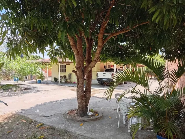 Imagem 7: Vende-Se Chácara no Povoado Pirunga /Capela
