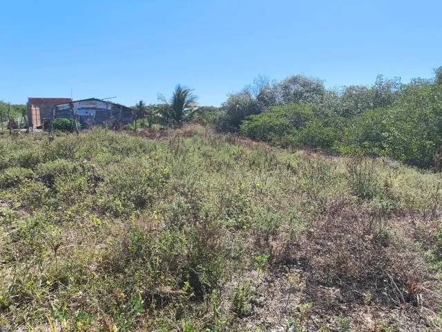Imagem: Terreno em Pirambu/Se