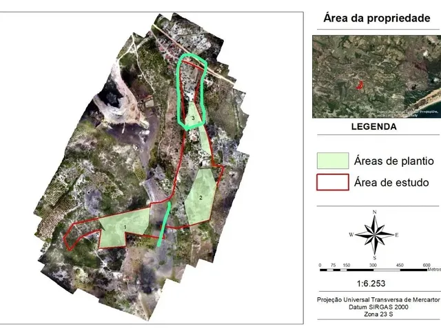 Imagem: Vendo Chácara/Fazenda Entre Japaratuba