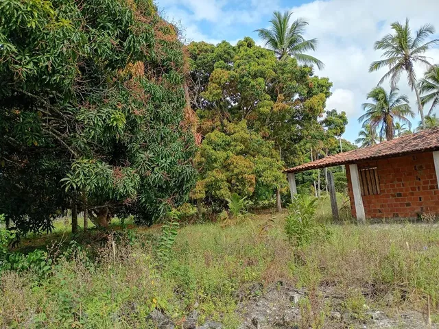 Imagem 10: Sítio a Venda!.