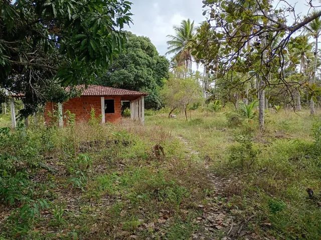 Imagem 3: Sítio a Venda!.