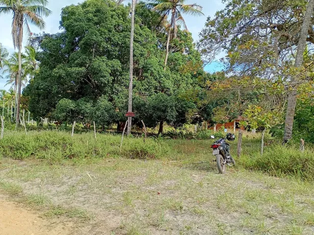 Imagem 4: Sítio a Venda!.