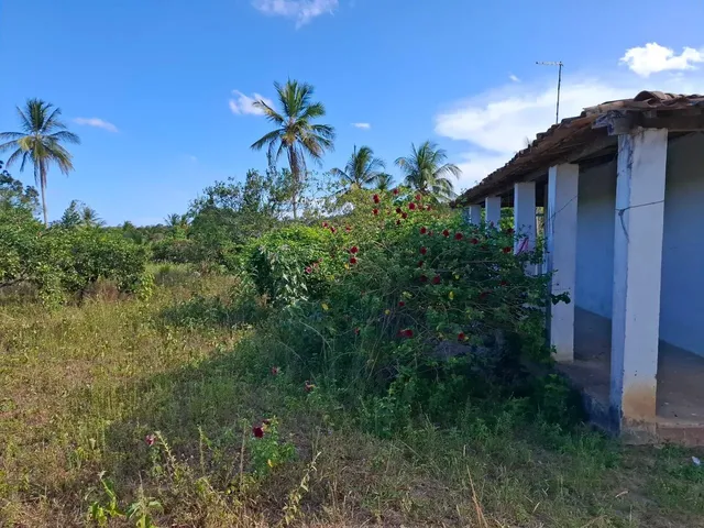 Imagem 2: Vende-Se Sitio com Casa 160,00